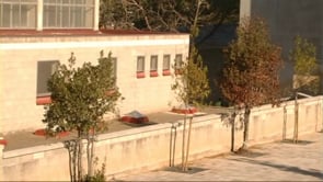 Fan marxar les gavines del Pavelló, la Piscina i la sala Polivalent