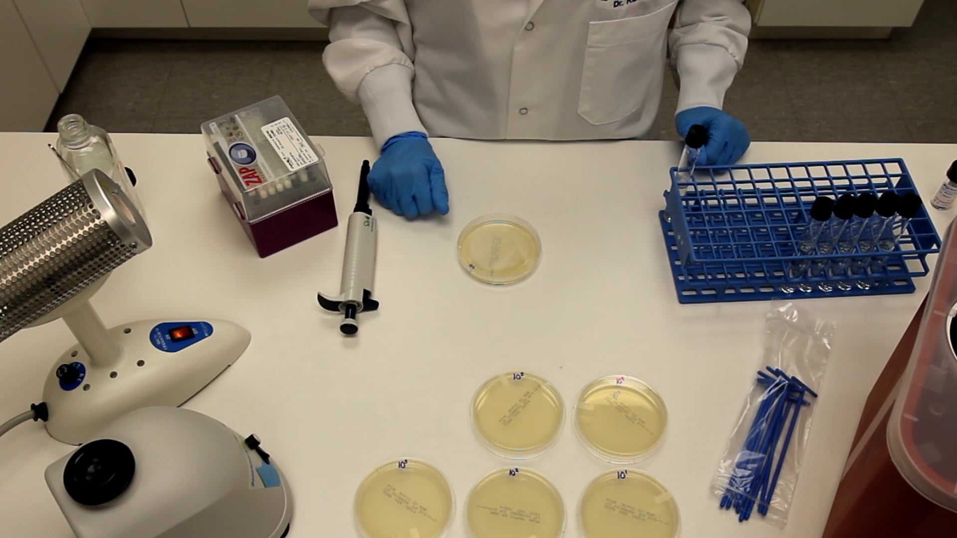 How To Perform Serial Dilutions In Microbiology On Vimeo