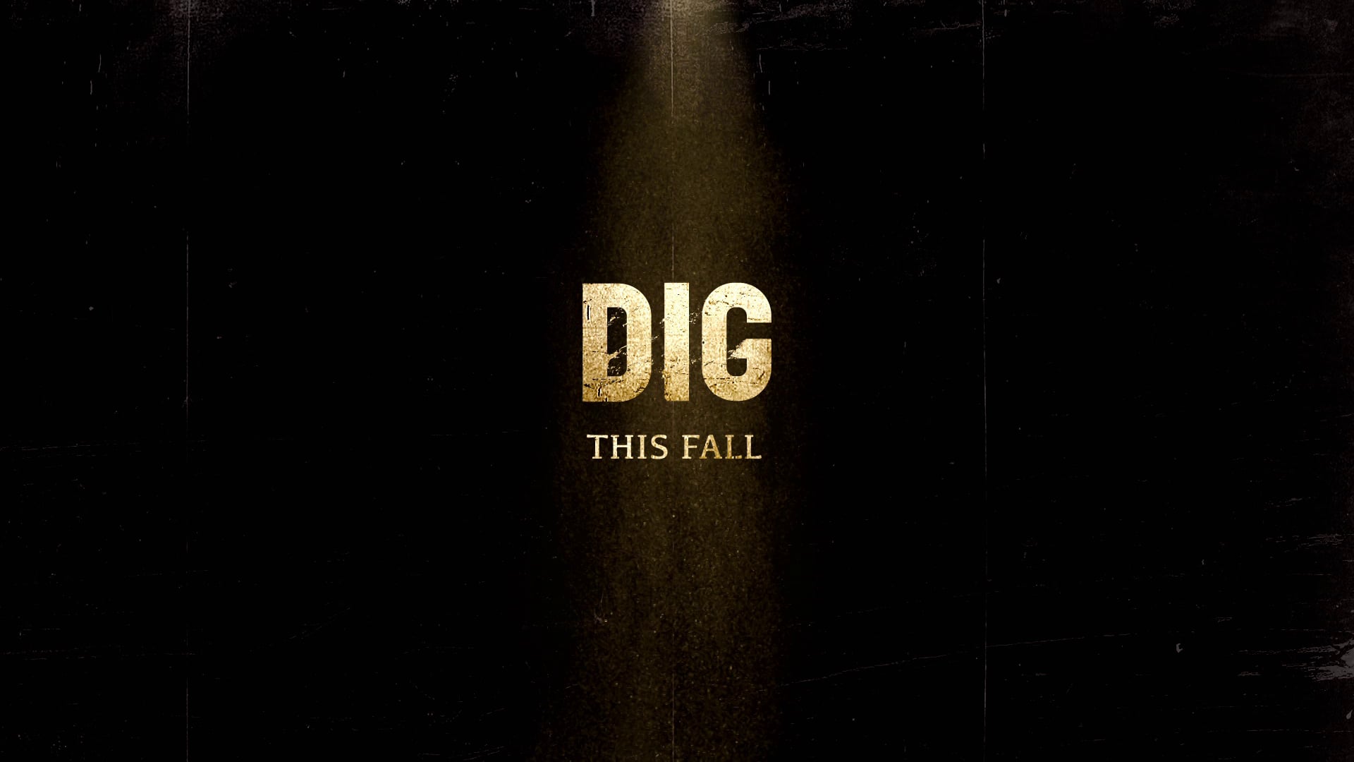 Dig - TV20 "Face"