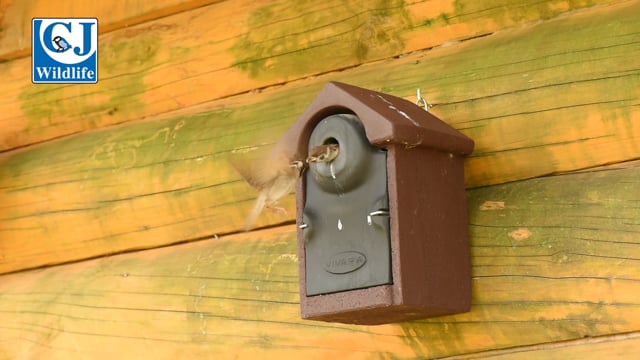 CJ Wildlife Woodstone Bilbao Nest Box