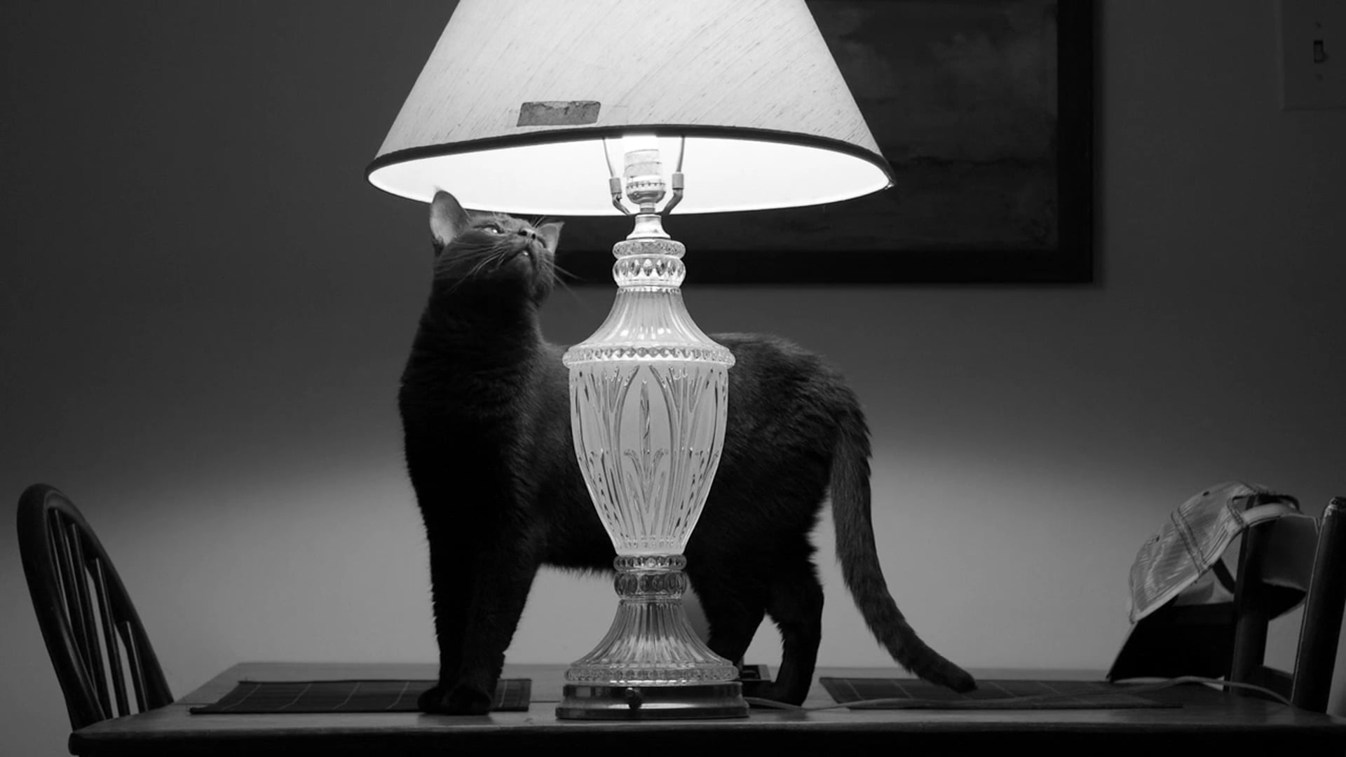 LAMP - a ghost story