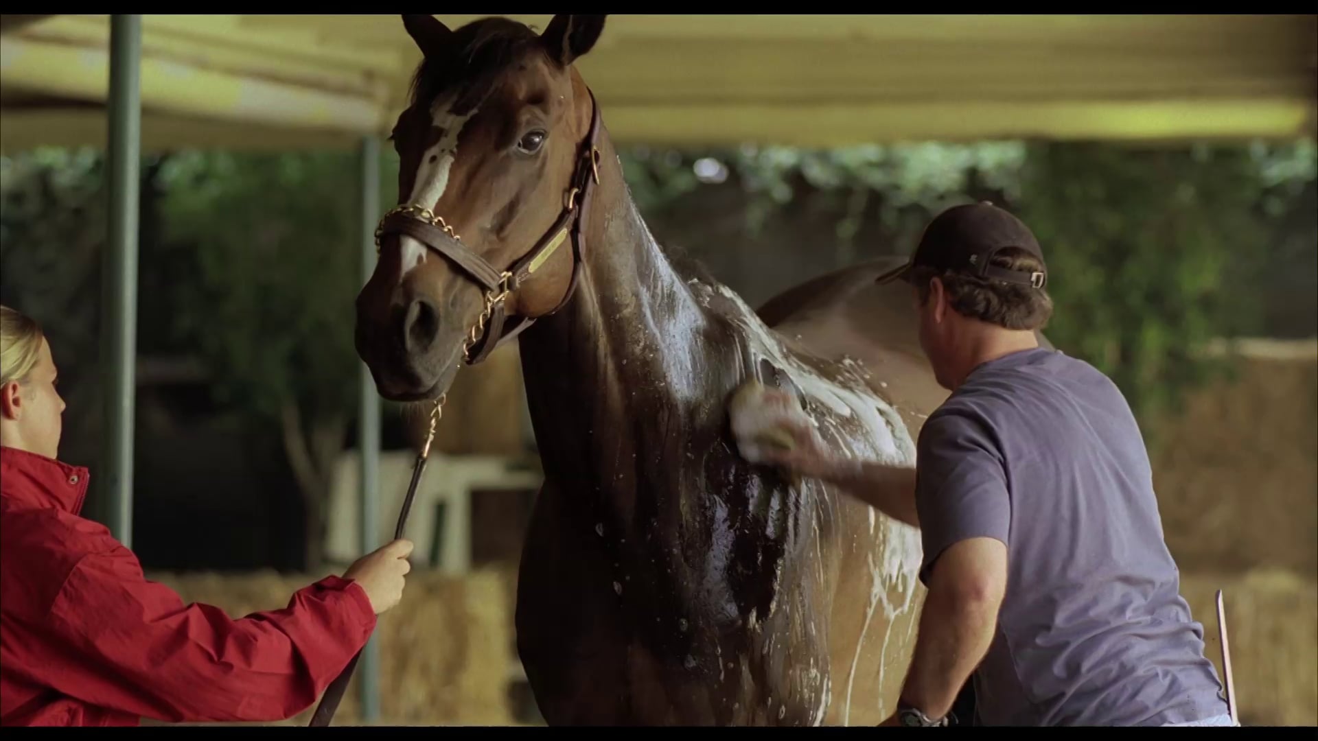 Sentient Jet, Breeders' Cup Ad on Vimeo