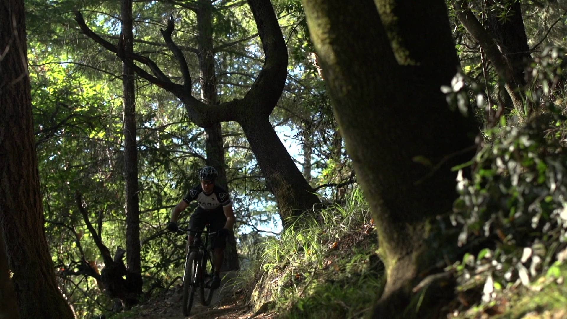 hardtail of the year 2019