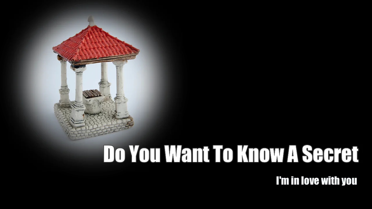 Do You Want To Know A Secret – The Beatles | Goldmine1969.com
