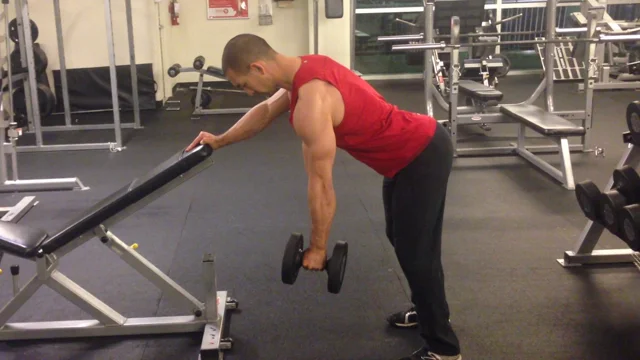 Single arm db discount row