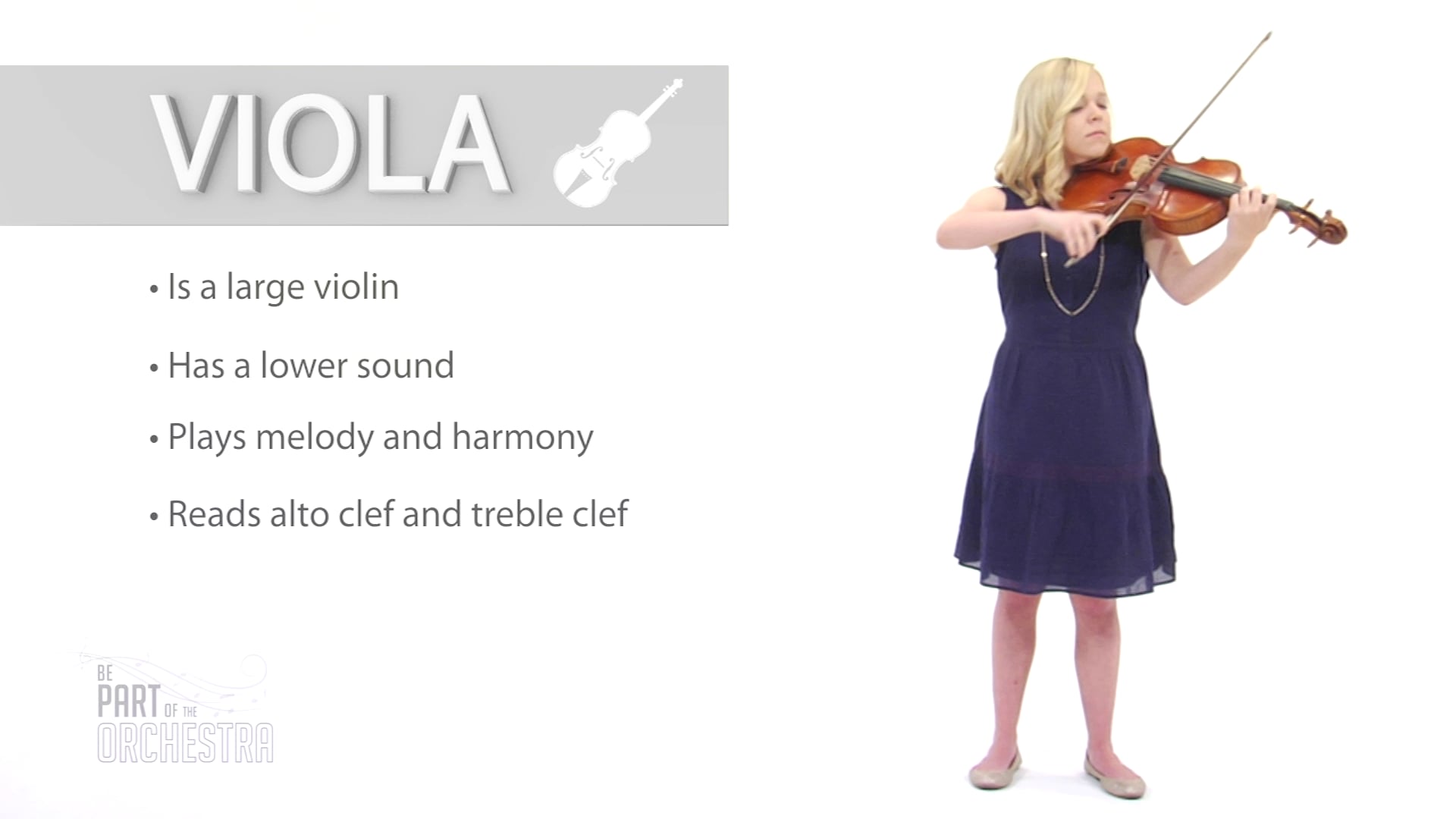 Viola (BPOTO)