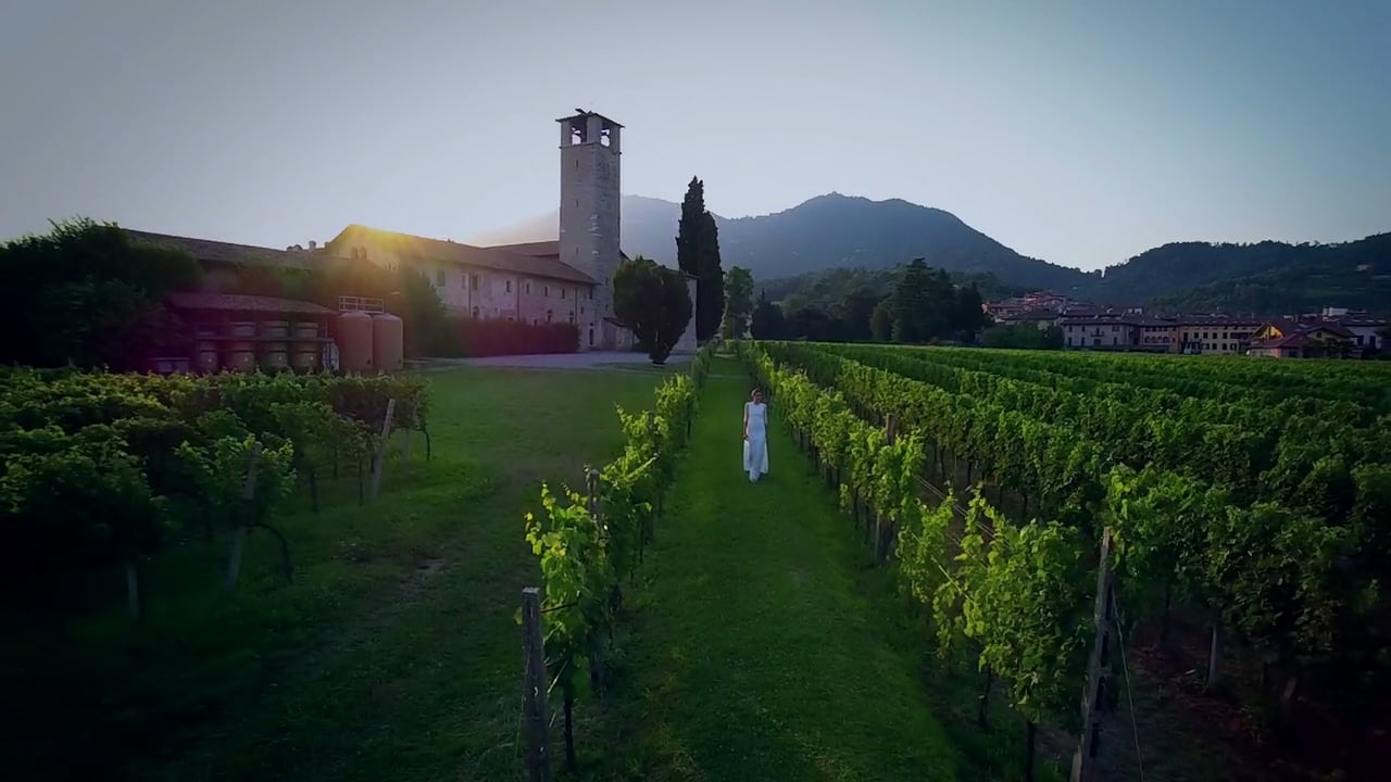 Tulipia-wedding dress 2016(Villa 1)