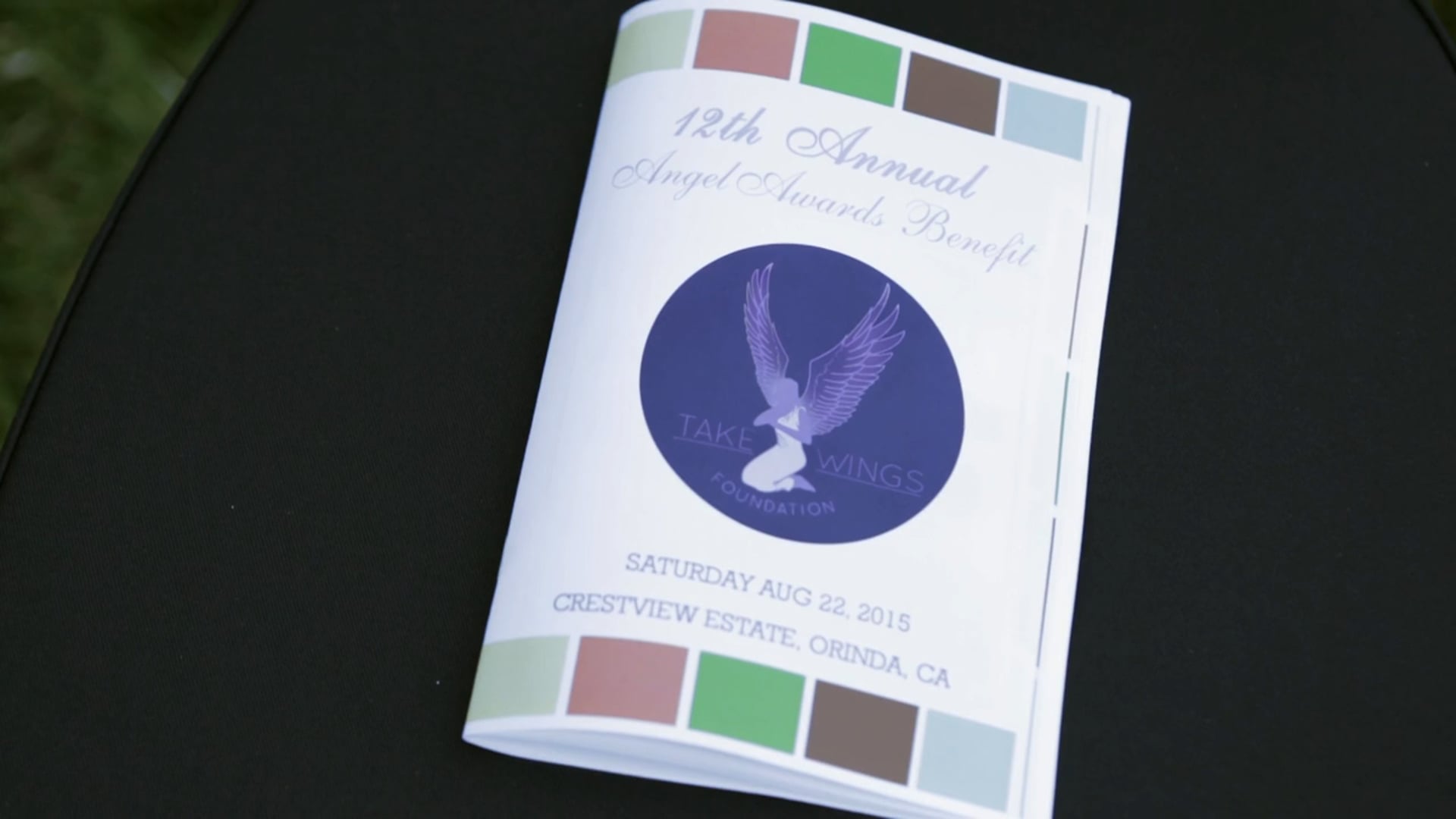 Angel Award Benefit Event 2015 - Take Wings Foundation