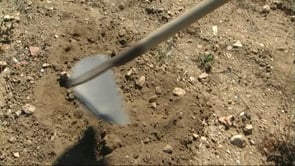 2 detinguts per excavar il·legalment a Empúries