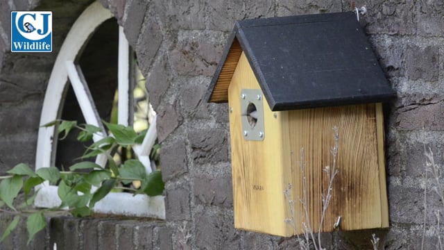 CJ Wildlife El Paso Nest Box