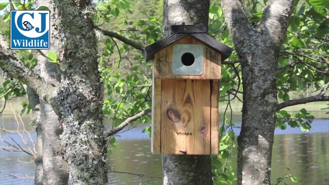 CJ Wildlife Denton Nest Box