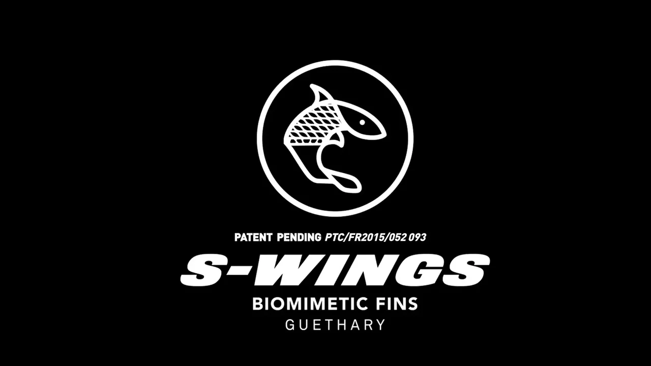 S-WINGS BIOMIMETIC FINS シングルフィン 美品 Surfing Fin Revolution
