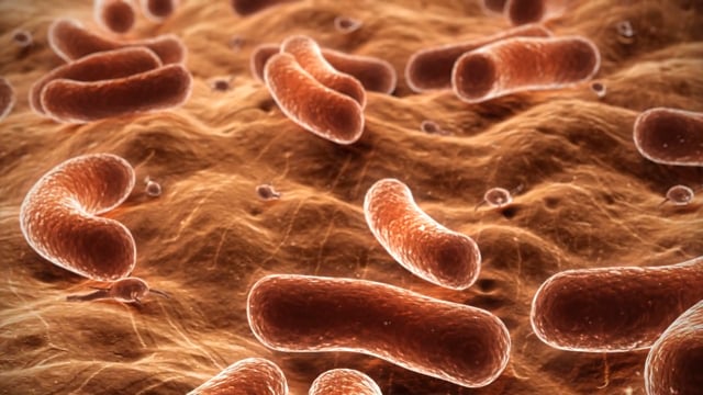 3D Medical Animation : Medical Explainer Video Production