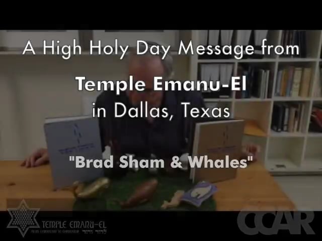 Temple Emanu-El: Brad Sham & Whales