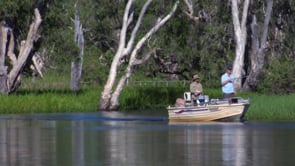 The importance of fish movement on Kakadu floodplains