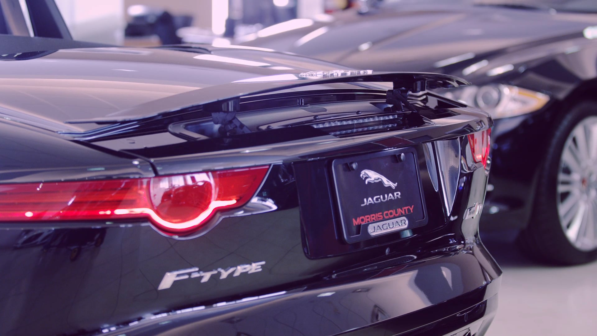 PAUL MILLER JAGUAR on Vimeo