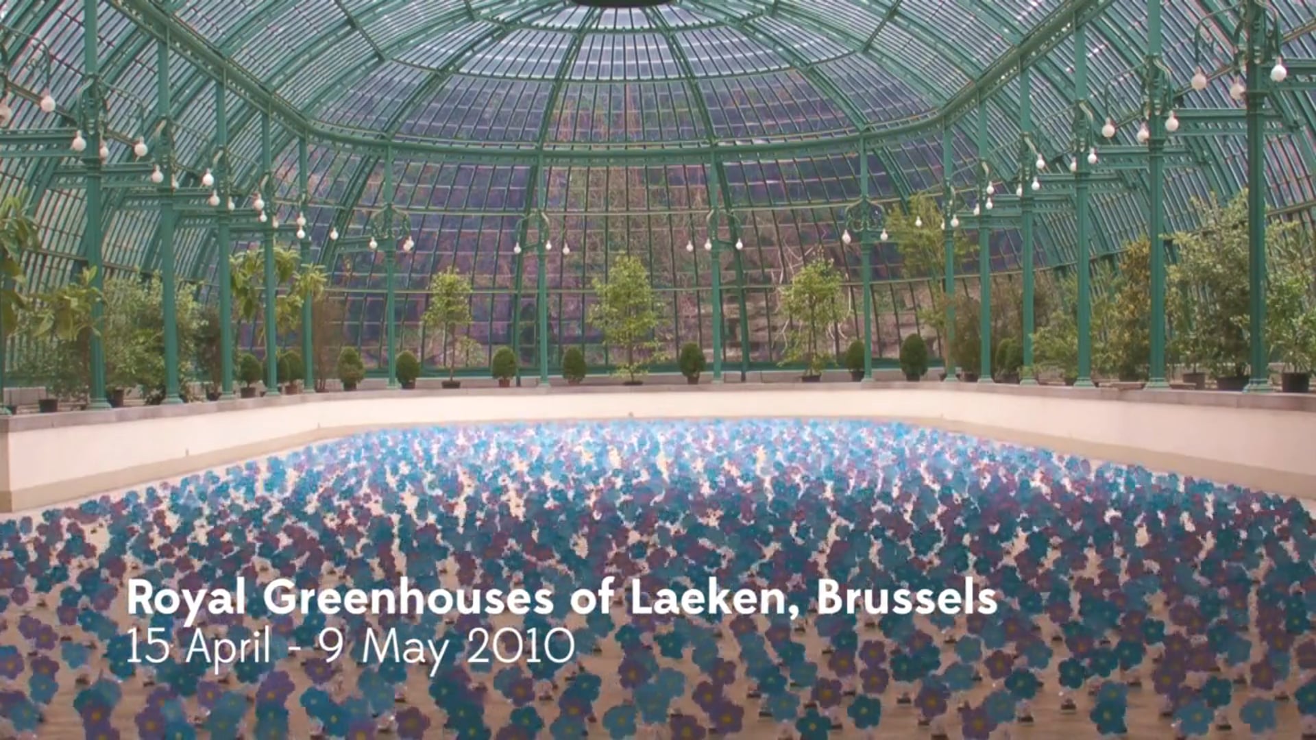 Solar Flowers / Exhibitions examples