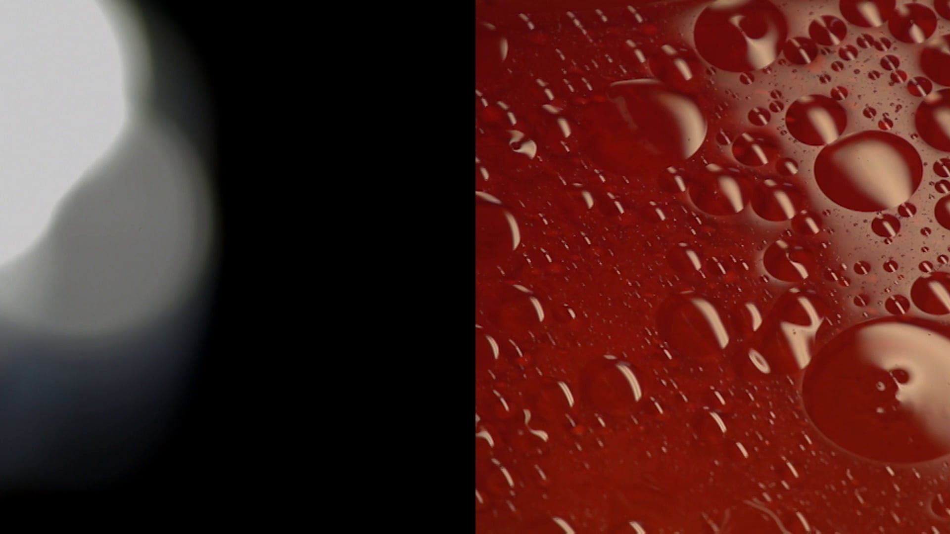 SEEDS (EXTRACT) a Film by Sissy Reyes and Liron Gilmore, As part of SEEDS: AN OPERA IN MINIATURE  by Eve Klein and Textile Audio. All music by Textile Audio.