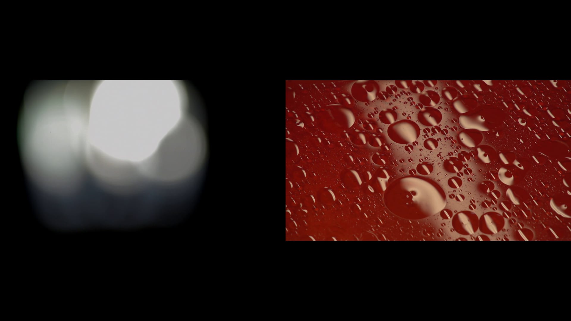 SEEDS (EXTRACT) a Film by Sissy Reyes and Liron Gilmore, As part of SEEDS: AN OPERA IN MINIATURE  by Eve Klein and Textile Audio. All music by Textile Audio.