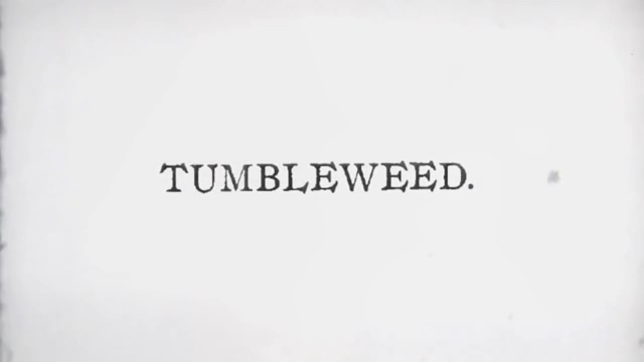 Tumbleweed - Spring and Summer