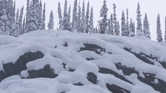 In Search trailer from Inspired Media Concepts