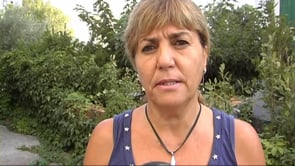 Balanç del cinema a la fresca del CER