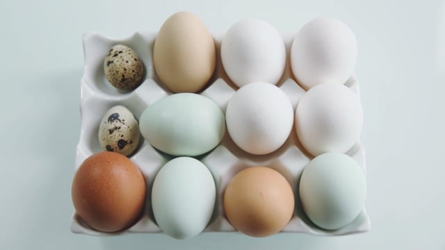 Lesson 1: Soft and Hard Boiled Eggs