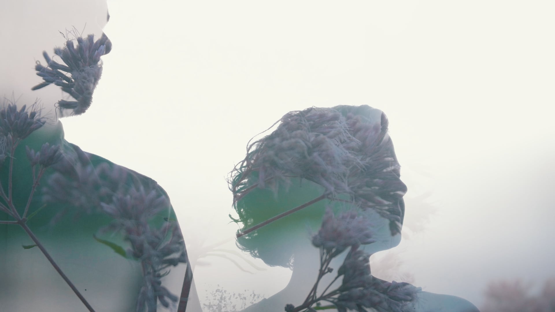 Kevin Andrew Prchal - Rise & Dim (Official)