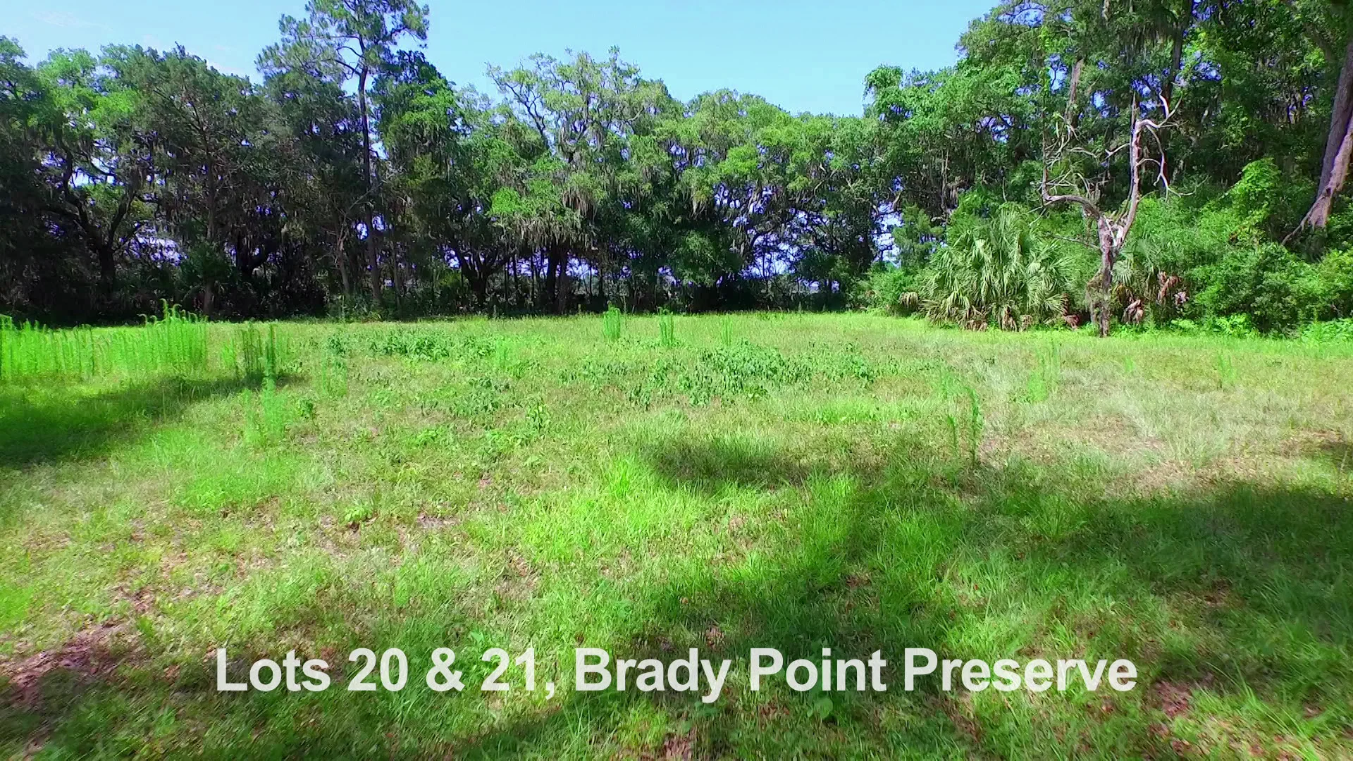 Brady Point Preserve on Vimeo