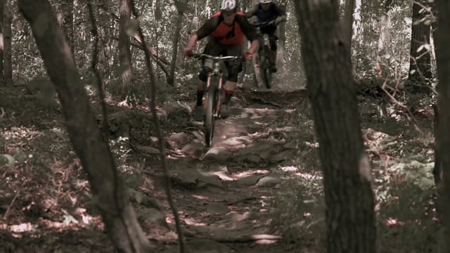 Four Seasons Summer from Mr Deltoid Creative Works