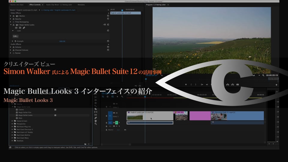 Magic Bullet Suite 12 の活用事例 解説1 【Magic Bullet Looks 3 インターフェイスの紹介】