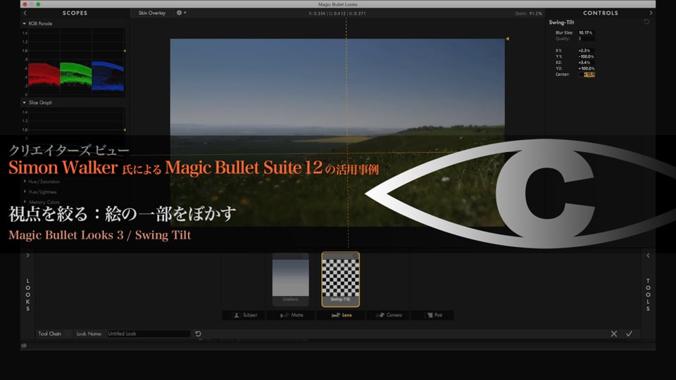 Magic Bullet Suite 12 の活用事例 解説3 【視点を絞る：絵の一部をぼかす】