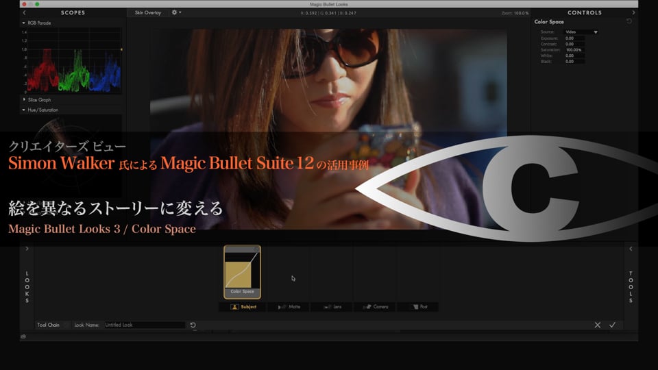 Magic Bullet Suite 12 の活用事例 解説7 【絵を異なるストーリーに変える】
