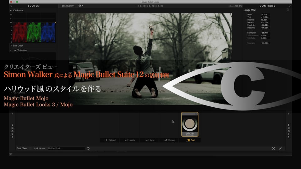Magic Bullet Suite 12 の活用事例 解説12 【ハリウッド風のスタイルを作る】