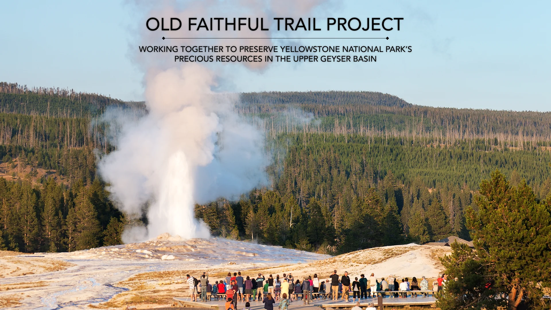 Old faithful clearance trail