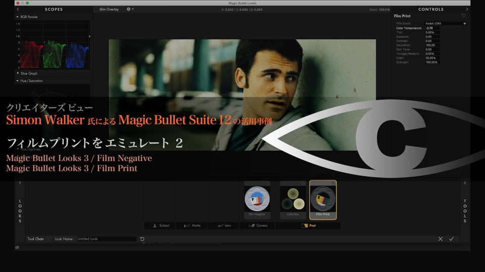 Magic Bullet Suite 12 の活用事例 解説14 【フィルムプリントをエミューレート 2】