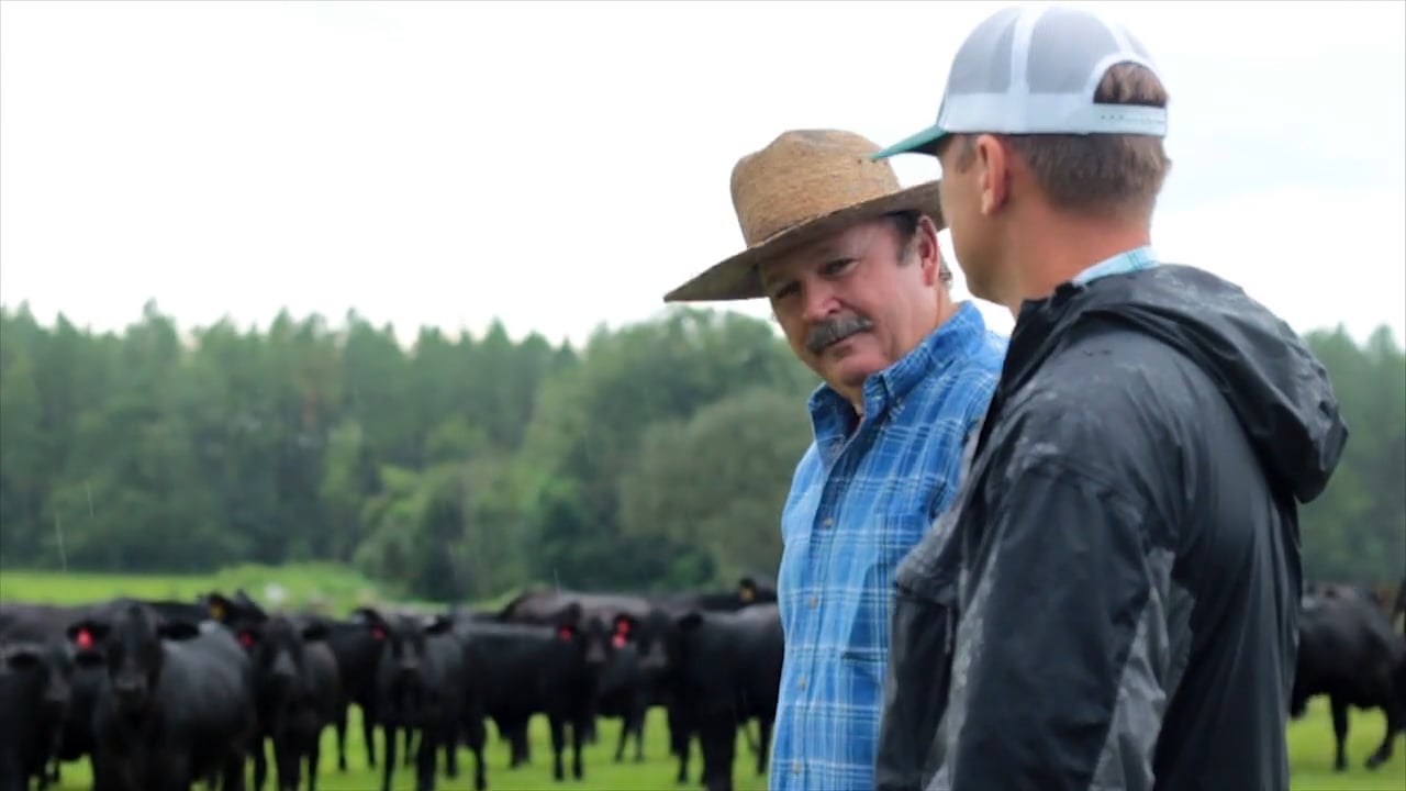 Chiefland Farm Supply 30 TV Spot September 2015 on Vimeo