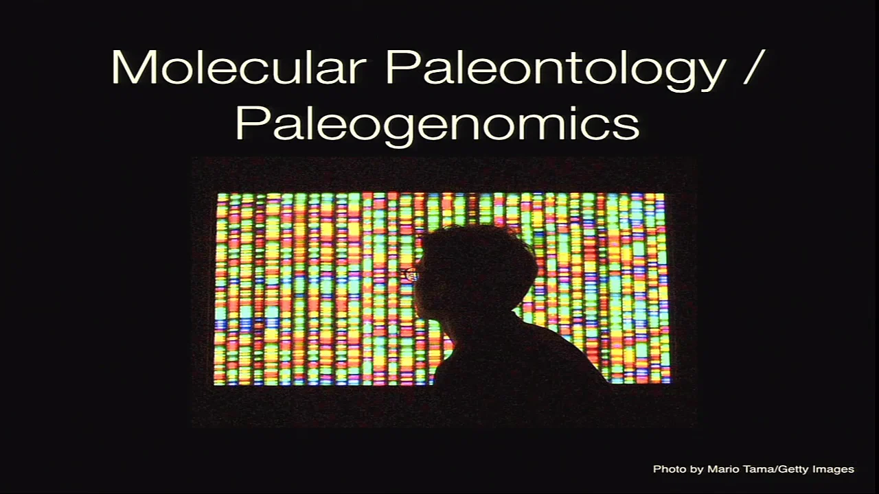 Molecular Paleontology / Paleogenomics Beth Shapiro, University of