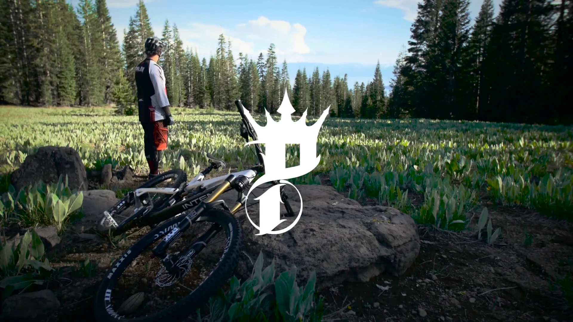 First Look: Intense Tracer Palmer Edition - Mountain Bike Feature