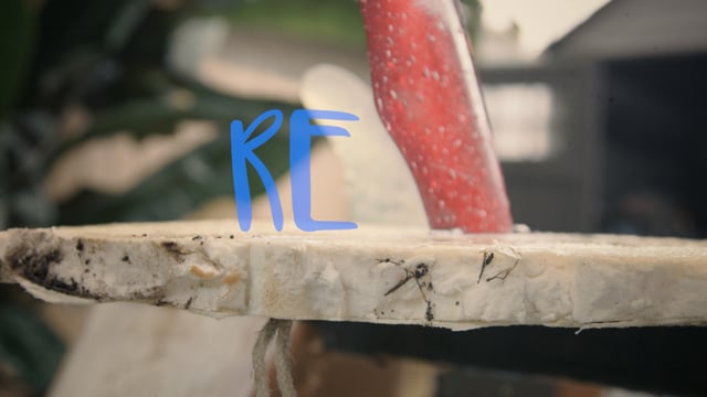 RE from Reshape Surf