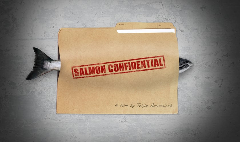 Fantastic documentary about the grim realities of farmed salmon that you must watch 2