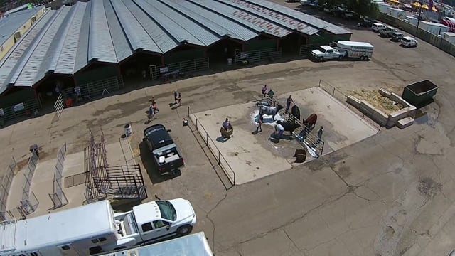 2015 Colorado State Fair