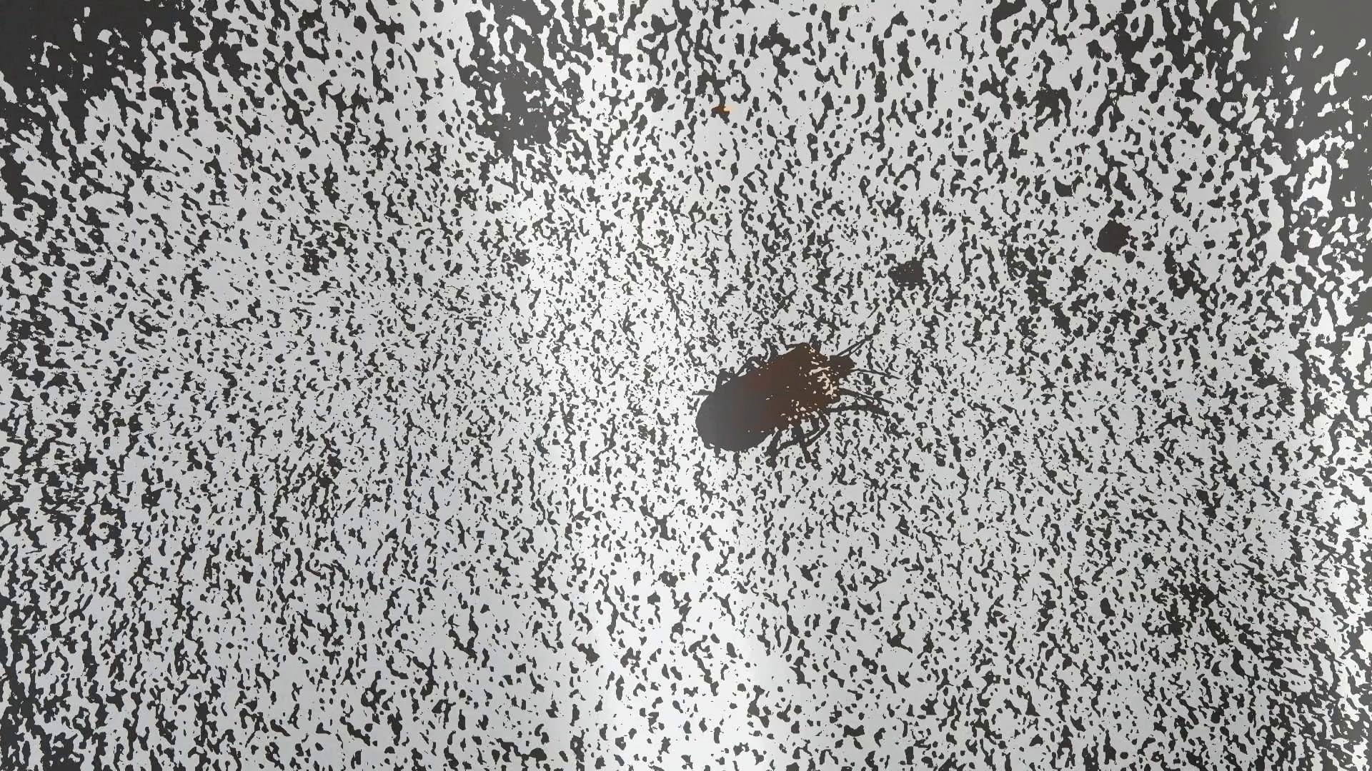 Fragmented-Connected
