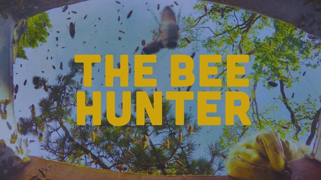 The Bee Hunter