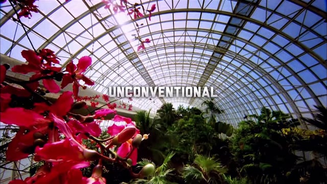 Video preview image.