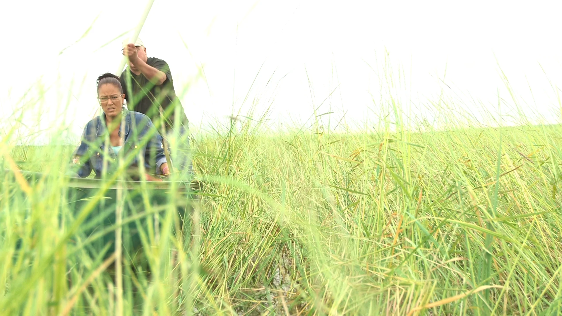 Manoominike - Wild Rice Harvest - Kakagon Sloughs, Bad River, Wisconsin ...
