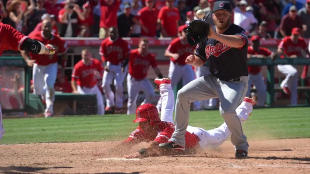 Interview: Matt Brown - Los Angeles Angels Team Photographer