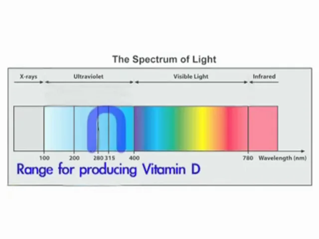 What Are The Uses of UV Light?