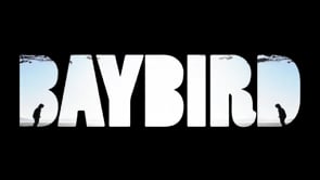 BAYBIRD