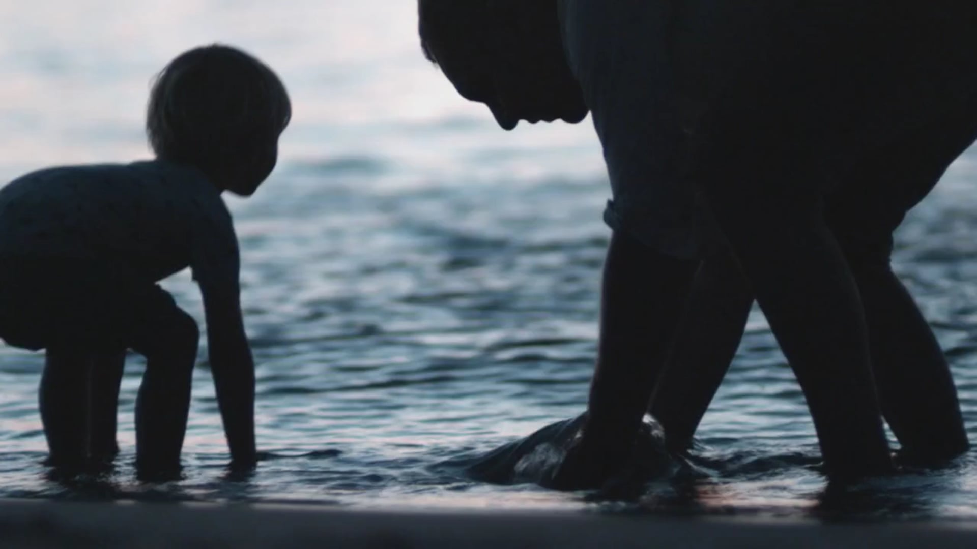 CUA | Life Rich Banking | Director: Ryan Renshaw